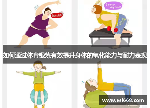 如何通过体育锻炼有效提升身体的氧化能力与耐力表现